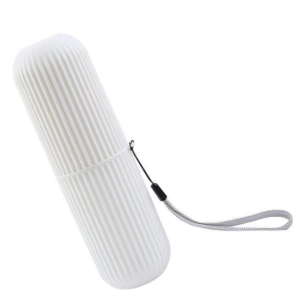 TOOTHPAST CAPSULE SHAPE PROTABLE
